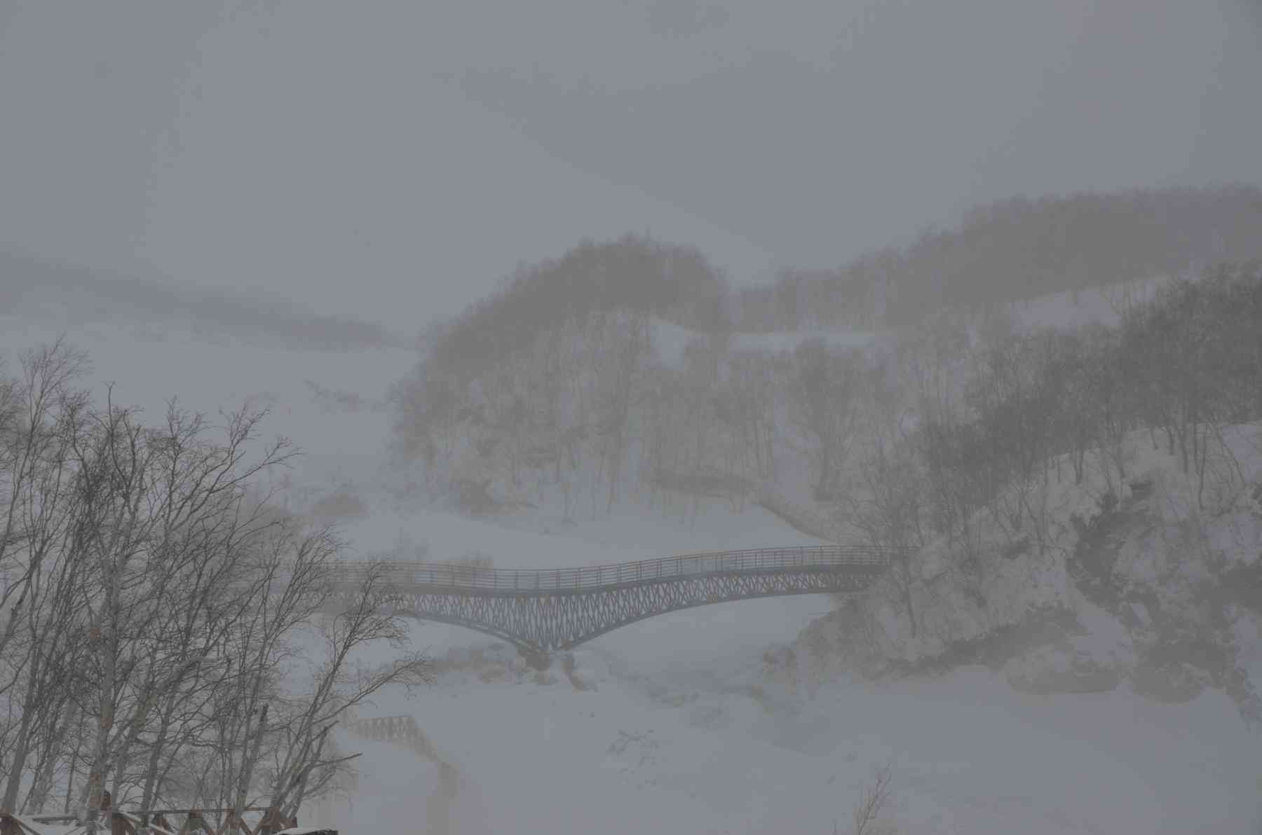 去雾凇岛旅游好玩吗