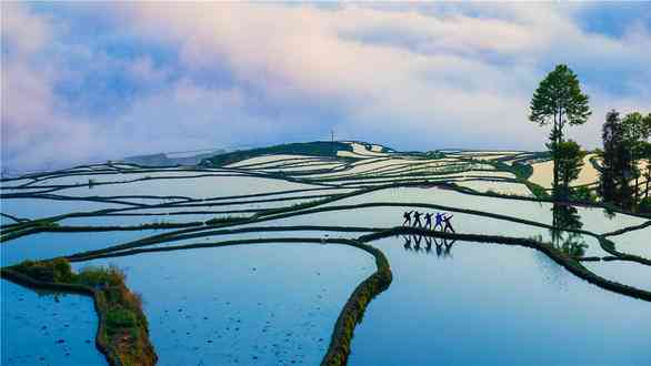 元阳梯田最佳旅游时间到了，梯田景区哪里最适合拍摄你知道吗？