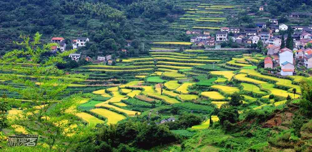 江苏春天哪里旅游最好