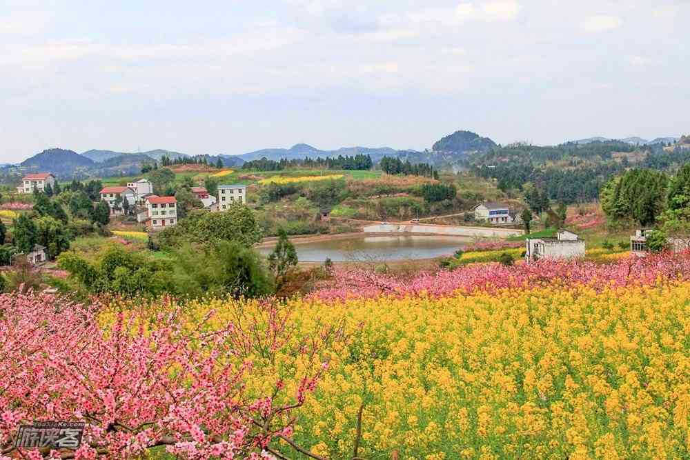 南京清明节旅游去哪里玩比较好