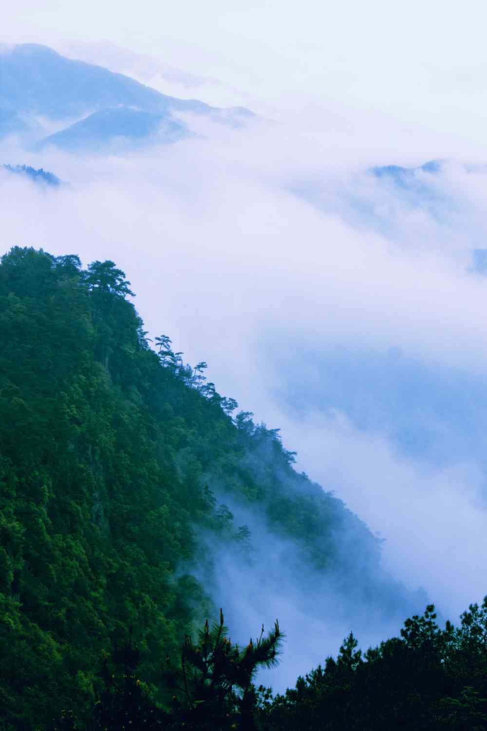 四明山旅游最佳时间和方式