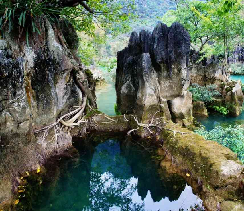 桂西北旅游攻略之五（龙洪田园风光）