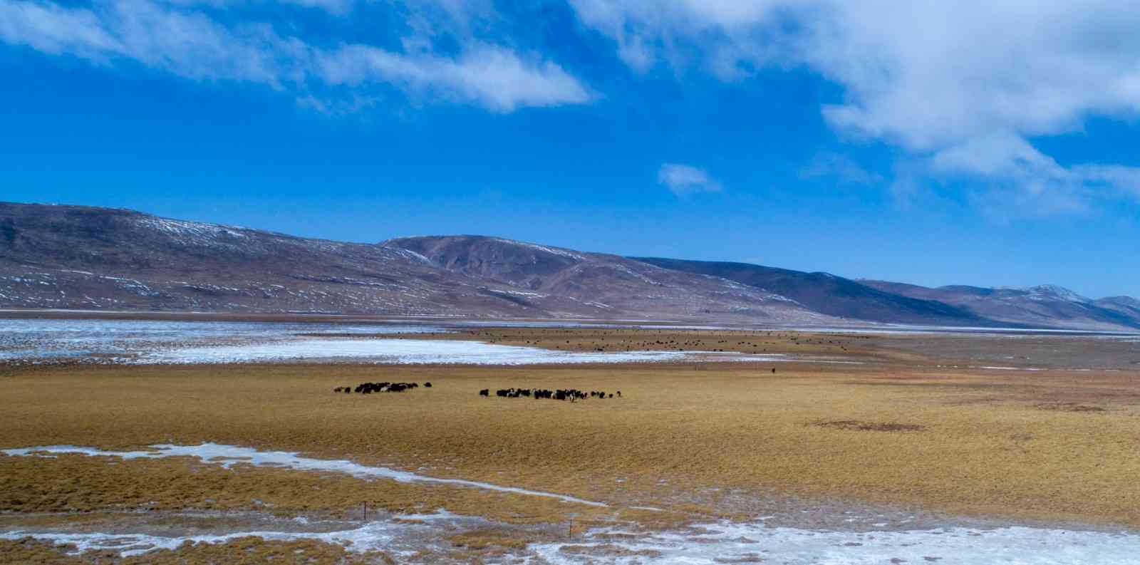 羌塘无人区在哪里？羌塘无人区很可怕吗