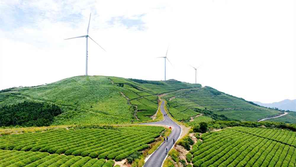 菩提岭古道在哪里？最美风车古道菩提岭古道值得一游