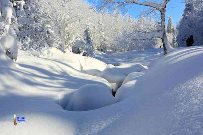 冬季拍雪哪里好？东北长白有雪岭