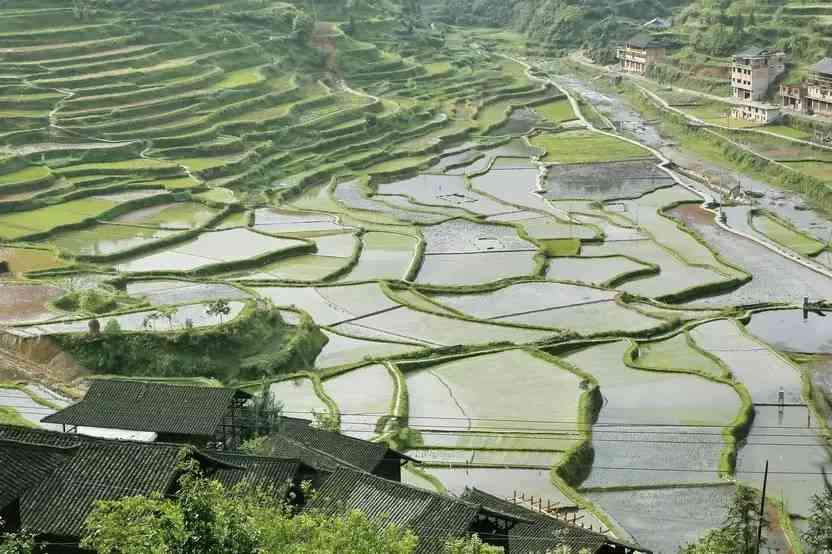 贵州十大梯田大盘点