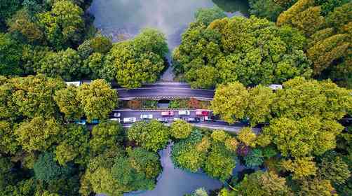 今后私家车将难进西湖景区北山路、杨公堤、南山路