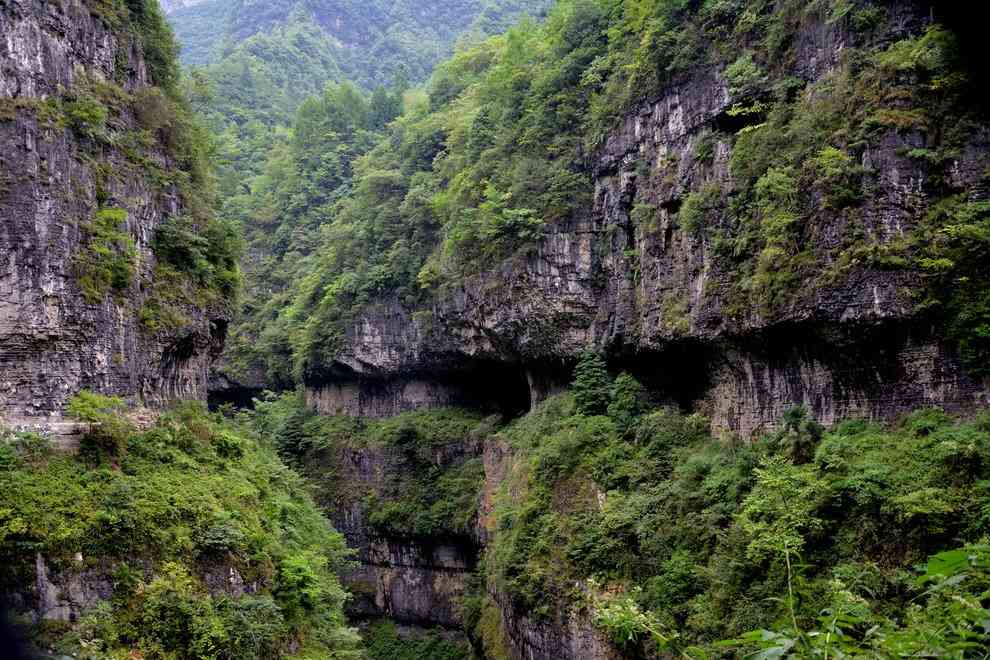 夏天去哪里玩好玩？暑假哪里不热？高考以后去哪玩？快来清凉恩施过夏天吧~