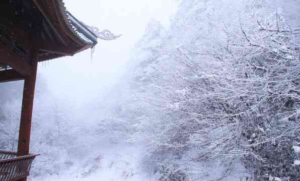 冬日来峨眉山看雪