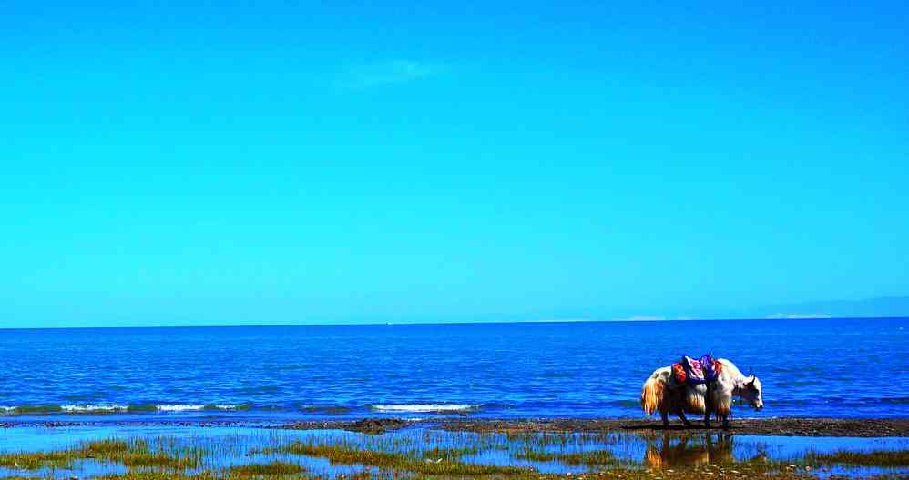 青海湖旅游常识 青海旅游注意事项