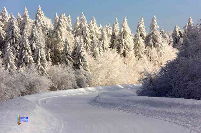 冬季拍雪哪里好？东北长白有雪岭