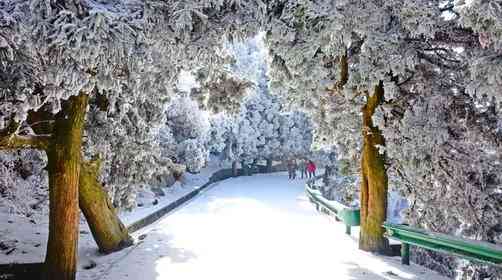 南方赏雪哪里好？赏雪好去处推荐