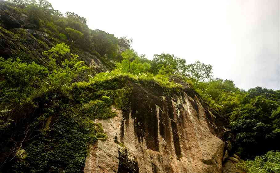 神话武夷山，岩茶的故乡