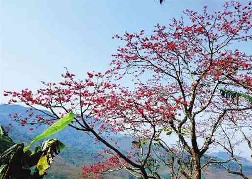 海南五大洗肺圣地