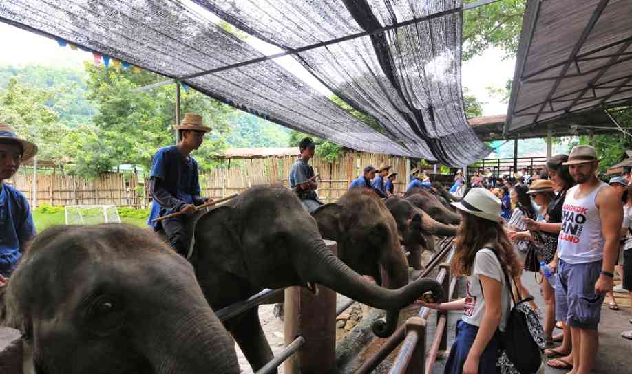 泰国清迈旅游报价，清迈自由行多少钱，清迈旅游中各类收费标准