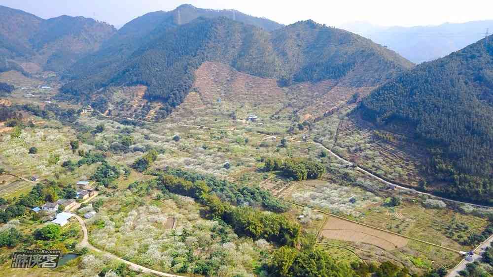 广州春天去哪里旅游