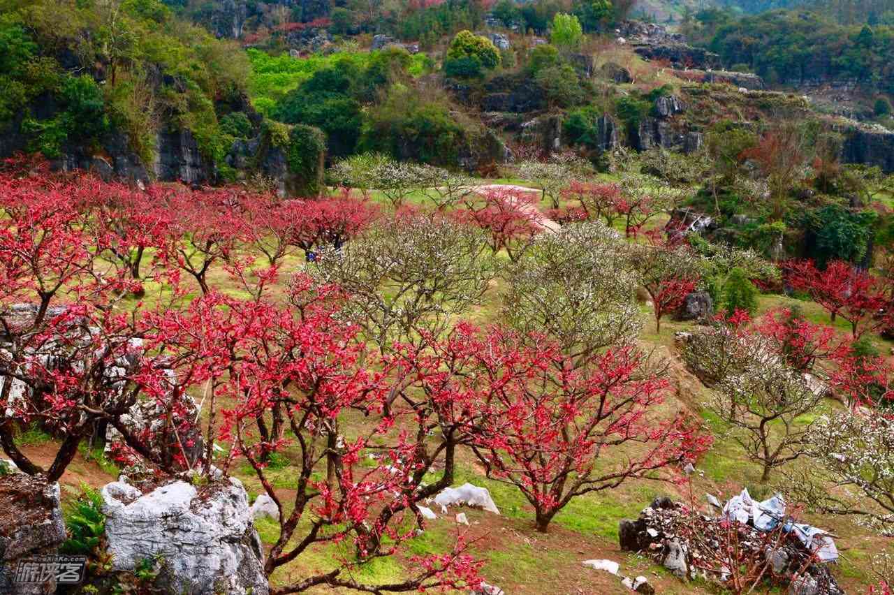 广州春天去哪里旅游