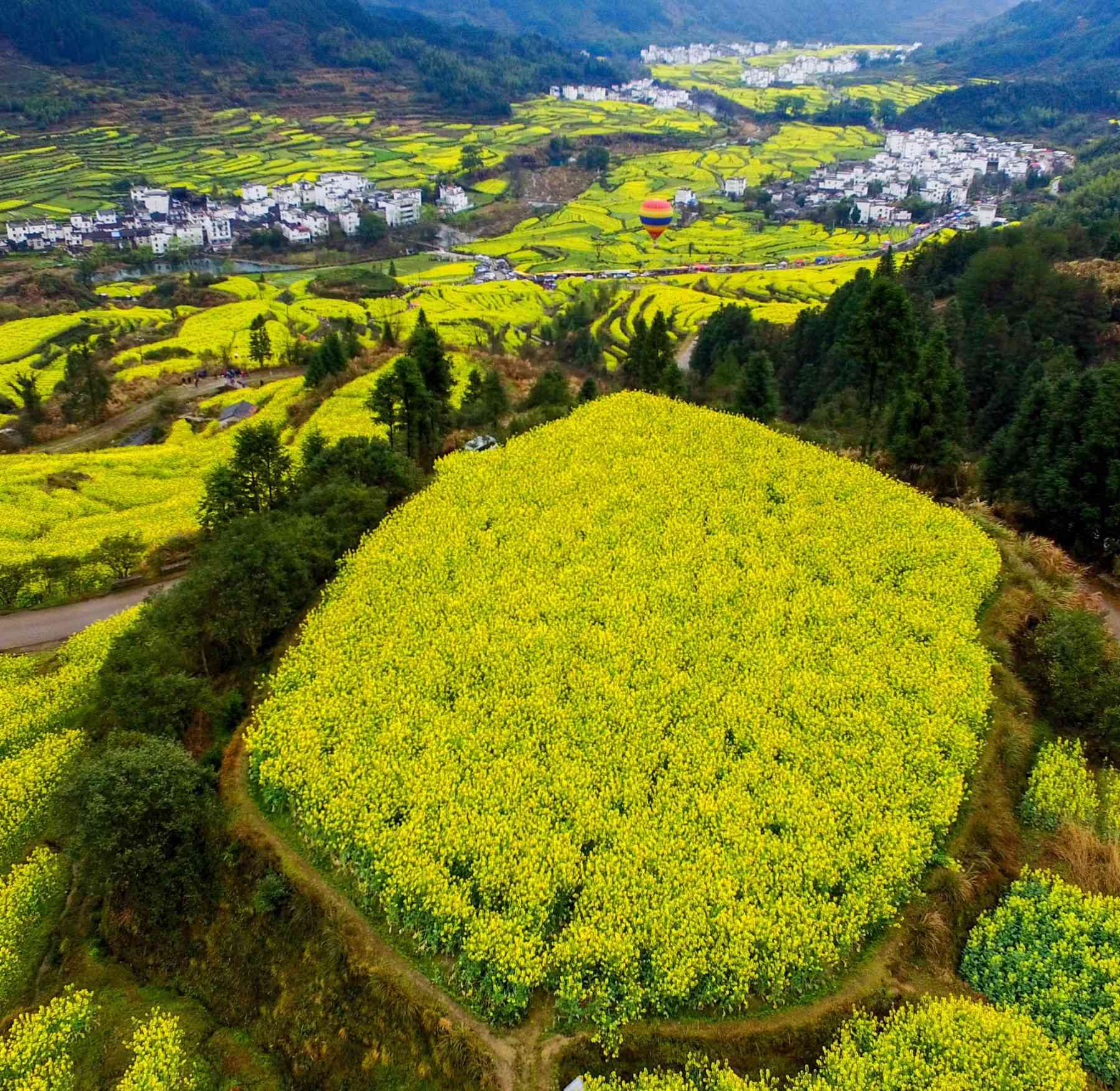 婺源旅游什么时候去最好