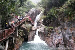 广州增城摘龙眼一天旅游团|摘水果一日游团购