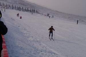 山东五天双飞游(2015年初二广州去山东滑雪旅游团)