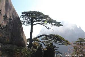 黄山三日游【黄山2日+徽州古城1日】徽州山水文化经典旅游线路