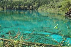 九寨沟黄龙金钻4日游（九寨沟青城山旅游推荐）