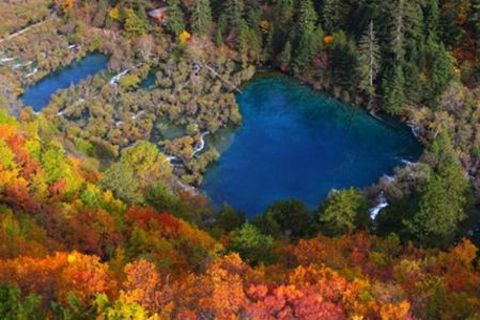 <九寨沟-黄龙-都江堰-青城山-峨眉山-乐山四飞8日游>览特色藏寨