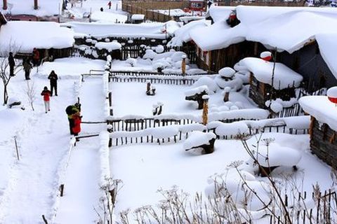 [春节]<哈尔滨-二浪河-雪乡-长白山-雾凇岛7日游>（当地游）