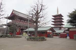 日本本州5晚6天赏枫跟团豪华游 东京 大阪 富士山