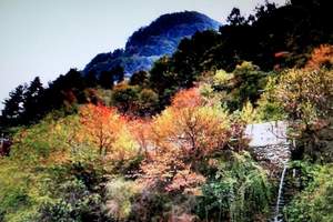 宝鸡通天河旅游 宝鸡通天河森林公园 凤县一日游 宝鸡通天河游