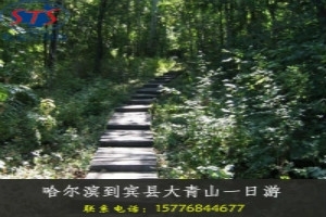 哈尔滨到大青山登山一日游/大青山多少人/大青山旅游线路