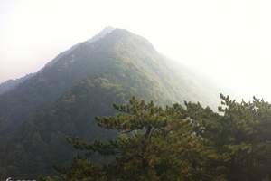 重庆后花园-黑山谷一日游-避暑休闲旅游-黑山谷门票