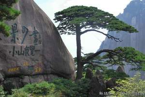 黄山一日游  黄山市区天天发团