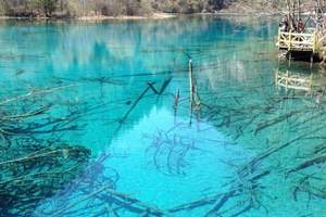 四川旅游哪些地方必去_四川旅游必去的景点九寨沟甘海子双飞6日