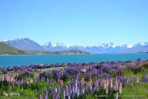 【去罗托鲁瓦旅游最佳季节】新西兰12日|澳大利亚旅游签证办理