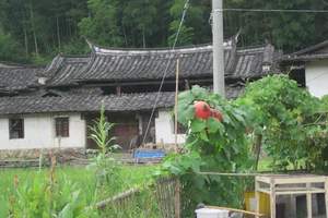 杭州到山沟沟 快乐农家 山沟沟一日游