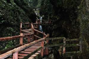 <都江堰青城山一日游>成都去都江堰青城山旅游|成都青城山旅游